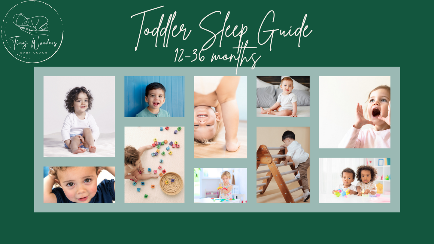 Toddler Sleep ONLINE MASTERCLASS 12-36 months